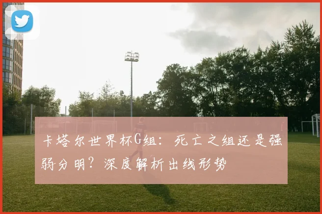 卡塔尔世界杯G组：死亡之组还是强弱分明？深度解析出线形势