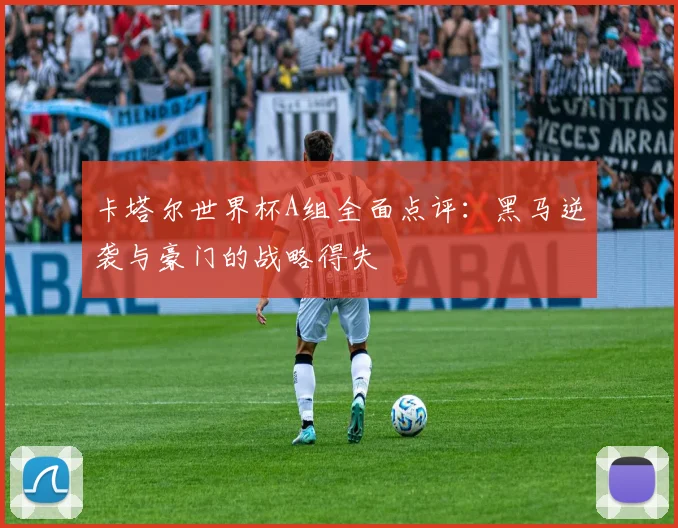 卡塔尔世界杯A组全面点评：黑马逆袭与豪门的战略得失