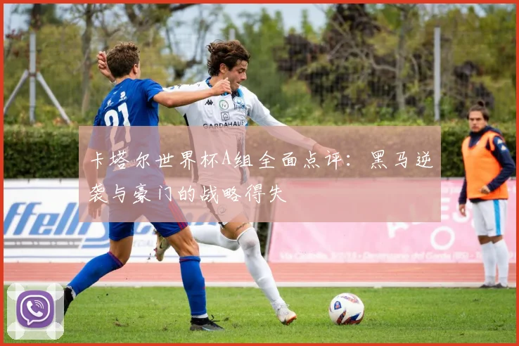 卡塔尔世界杯A组全面点评：黑马逆袭与豪门的战略得失