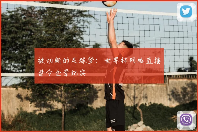 被切断的足球梦：世界杯网络直播禁令全景纪实