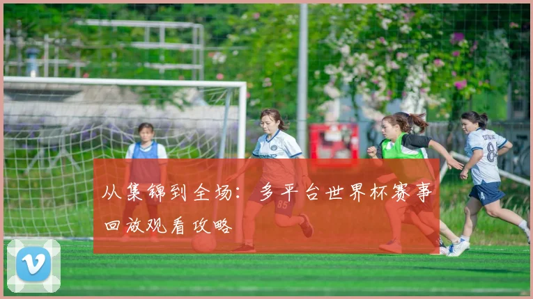 从集锦到全场：多平台世界杯赛事回放观看攻略