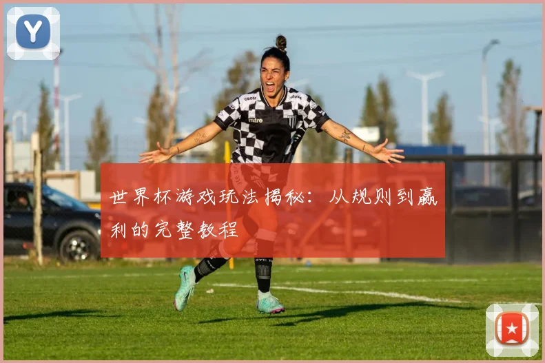 世界杯游戏玩法揭秘：从规则到赢利的完整教程