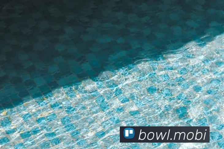 开云手机网页登录网页服务体系